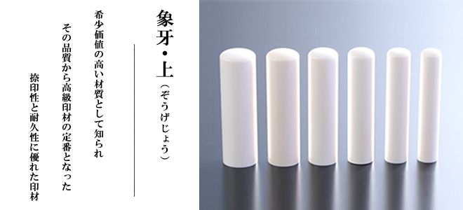 象牙の説明