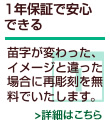 1年保証で安心できる